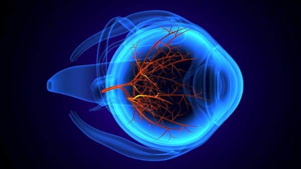 Imagem azul do globo ocular criada com efeito de IA. em seu interior se vê os vasos sanguíneos que compõem a retina.