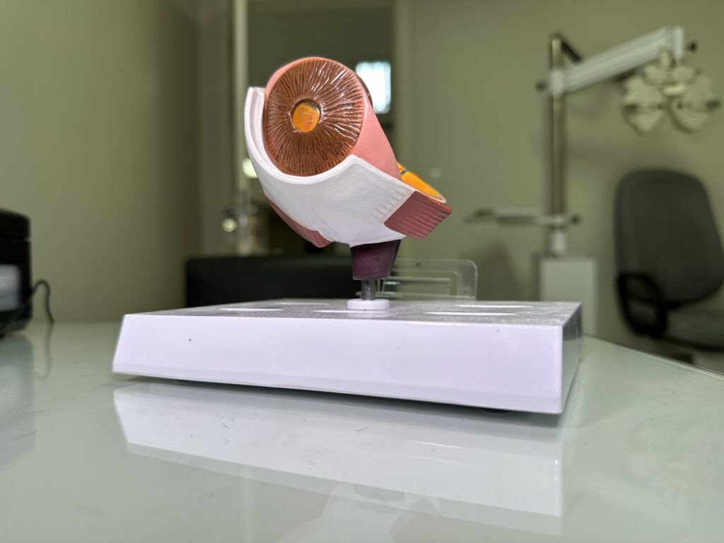 oftalmologia-integrada-novo-hamburgo-consultorio 10